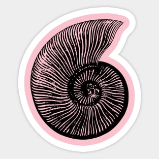 Ammonite Sticker